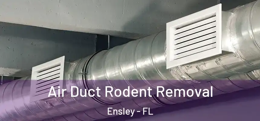 Air Duct Rodent Removal Ensley - FL