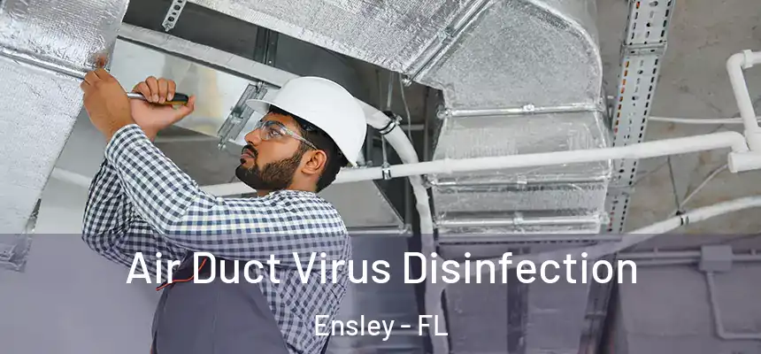 Air Duct Virus Disinfection Ensley - FL