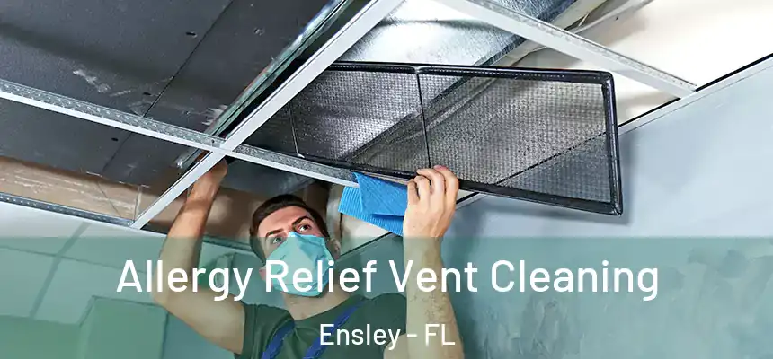 Allergy Relief Vent Cleaning Ensley - FL