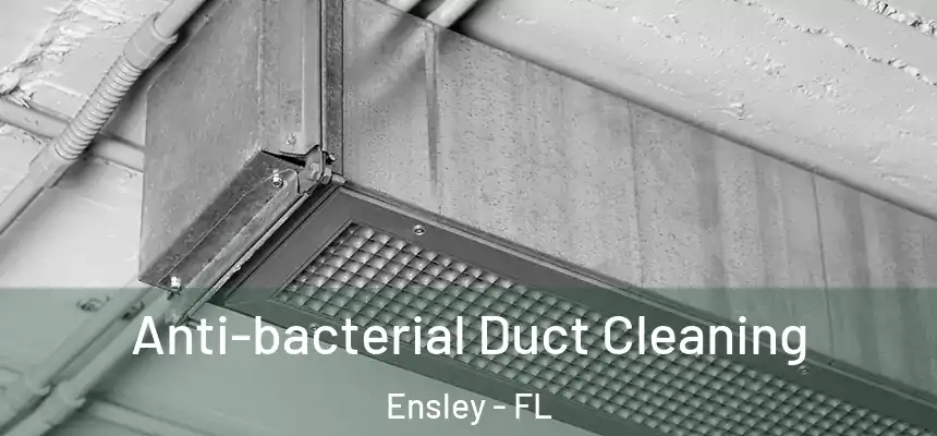 Anti-bacterial Duct Cleaning Ensley - FL