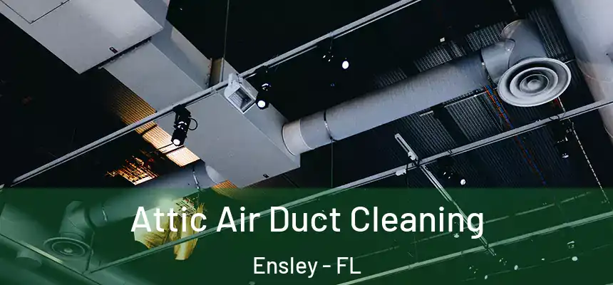 Attic Air Duct Cleaning Ensley - FL