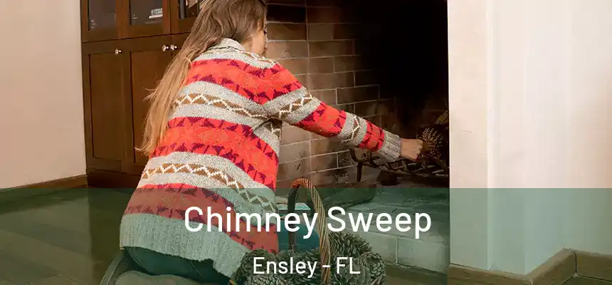 Chimney Sweep Ensley - FL