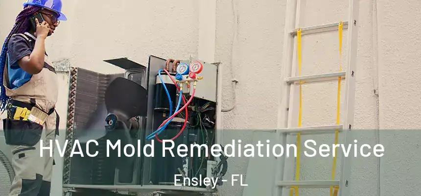 HVAC Mold Remediation Service Ensley - FL