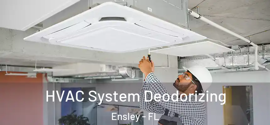 HVAC System Deodorizing Ensley - FL