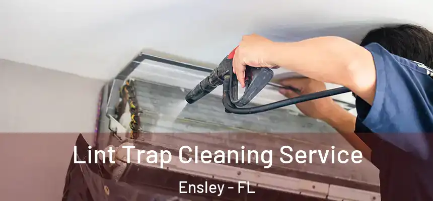 Lint Trap Cleaning Service Ensley - FL