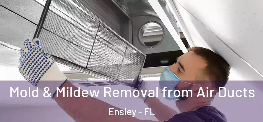 Mold & Mildew Removal from Air Ducts Ensley - FL