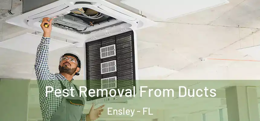 Pest Removal From Ducts Ensley - FL