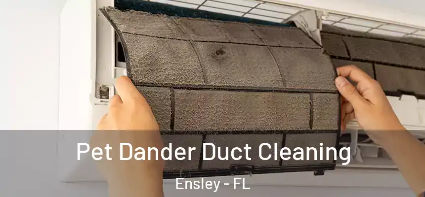 Pet Dander Duct Cleaning Ensley - FL