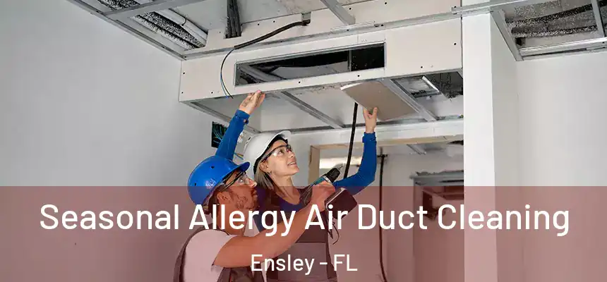 Seasonal Allergy Air Duct Cleaning Ensley - FL