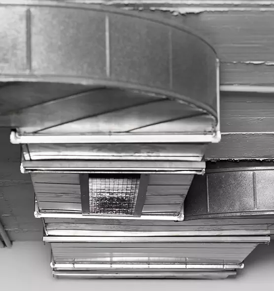 Professional Air Duct Pest Removal in Ensley, FL