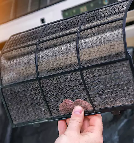 About Pet Dander Duct Cleaning in Ensley, FL