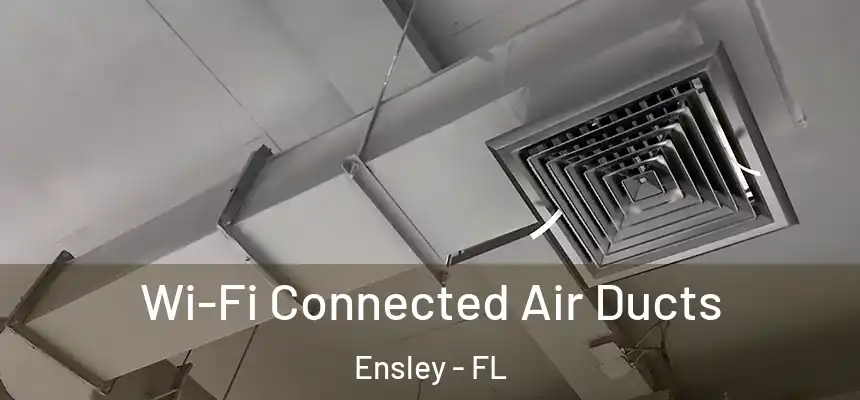 Wi-Fi Connected Air Ducts Ensley - FL